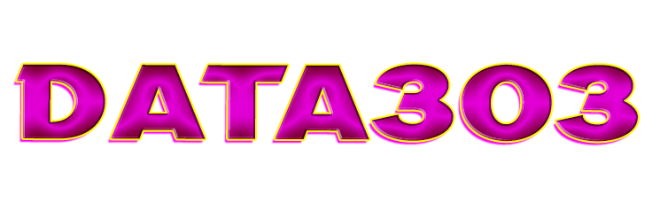DATA303